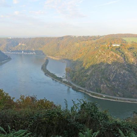 Roosartige Ferien - Ferienwohnung Am Weiherturm Bacharach Esterno foto
