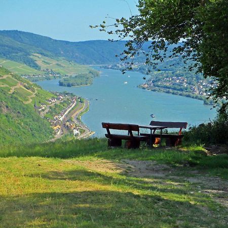 Roosartige Ferien - Ferienwohnung Am Weiherturm Bacharach Esterno foto