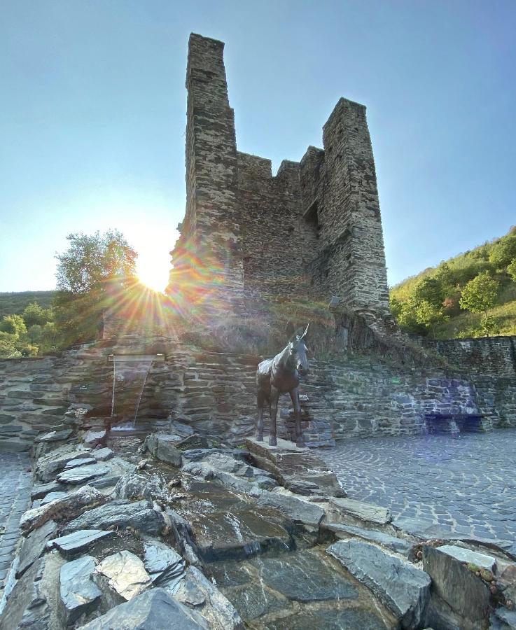 Roosartige Ferien - Ferienwohnung Am Weiherturm Bacharach Esterno foto