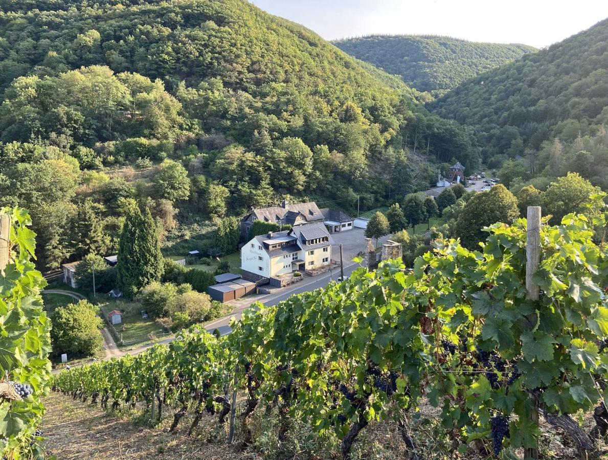 Roosartige Ferien - Ferienwohnung Am Weiherturm Bacharach Esterno foto