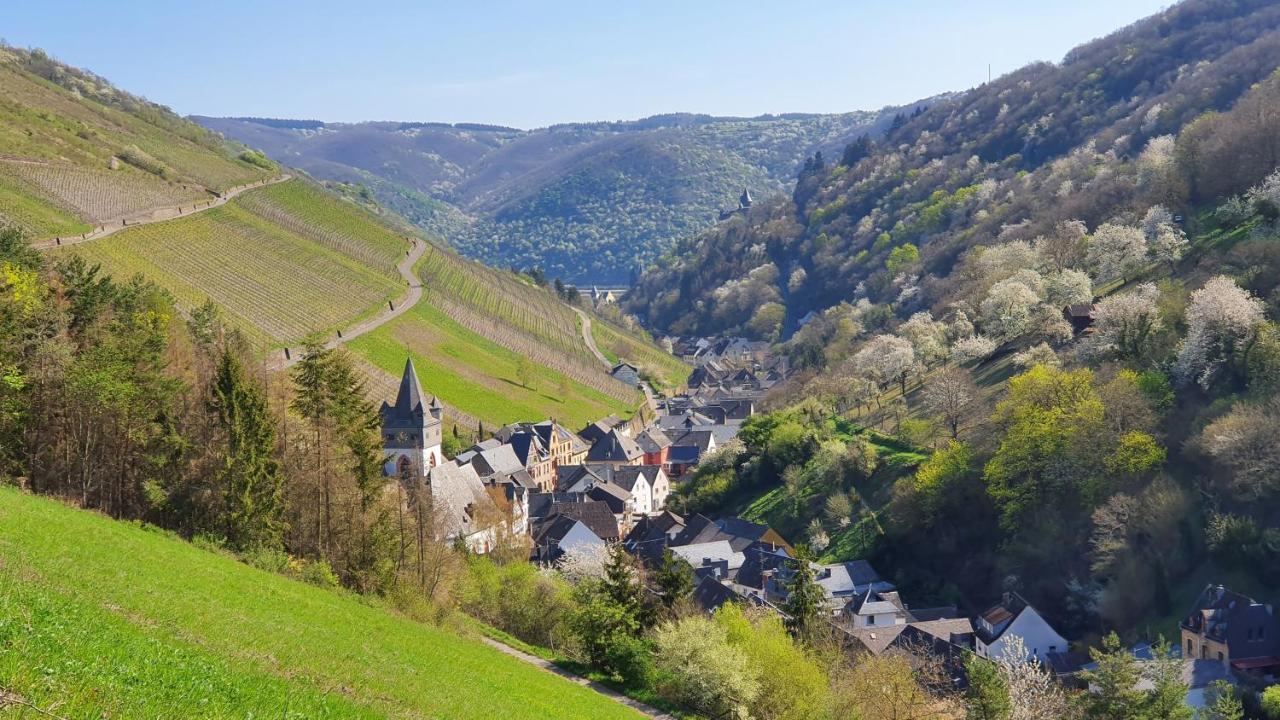 Roosartige Ferien - Ferienwohnung Am Weiherturm Bacharach Esterno foto