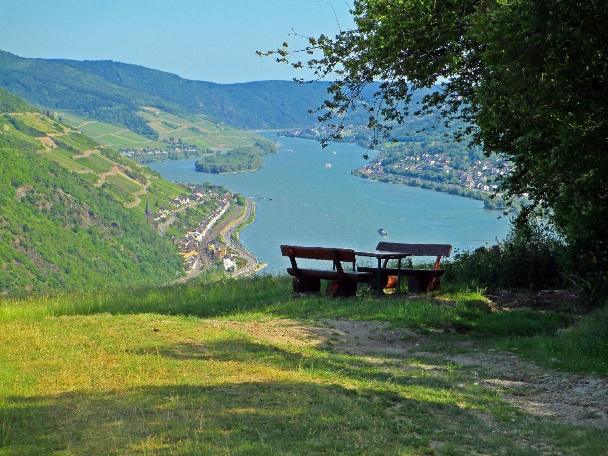 Roosartige Ferien - Ferienwohnung Am Weiherturm Bacharach Esterno foto