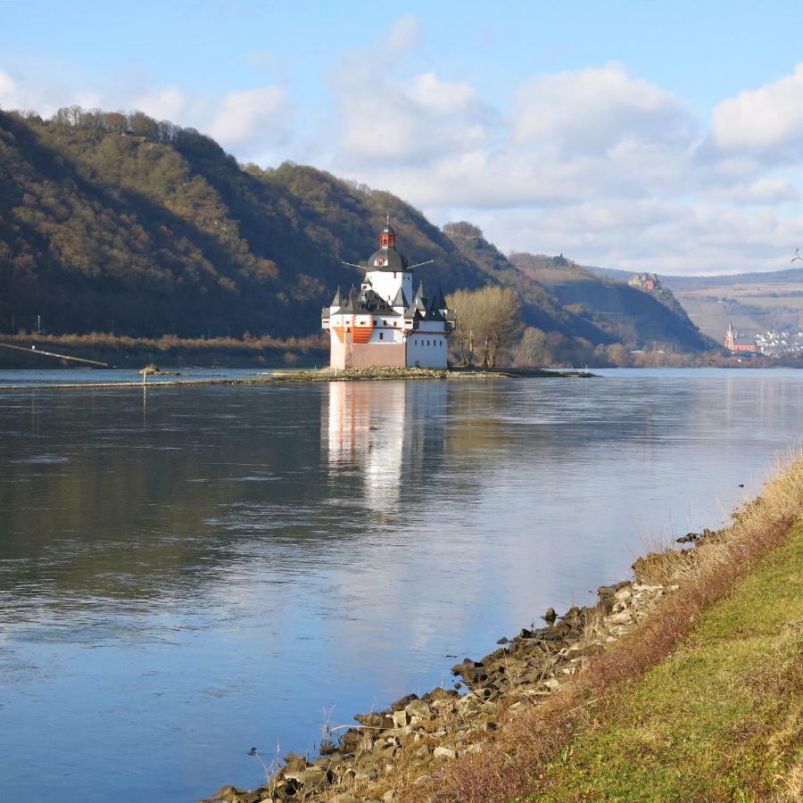 Roosartige Ferien - Ferienwohnung Am Weiherturm Bacharach Esterno foto